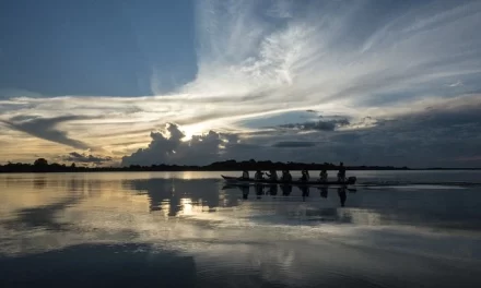 Resenha Crítica: Questões Ambientais na Amazônia e o Diálogo com a Interculturalidade